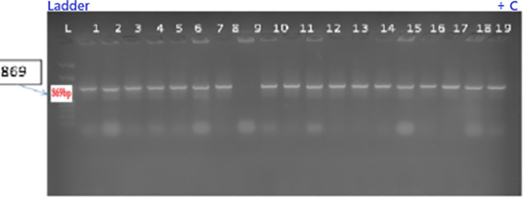 Fig 8
