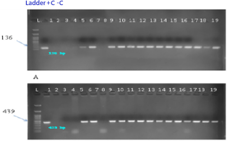 Fig 9