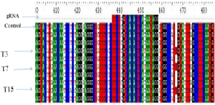 Fig 10