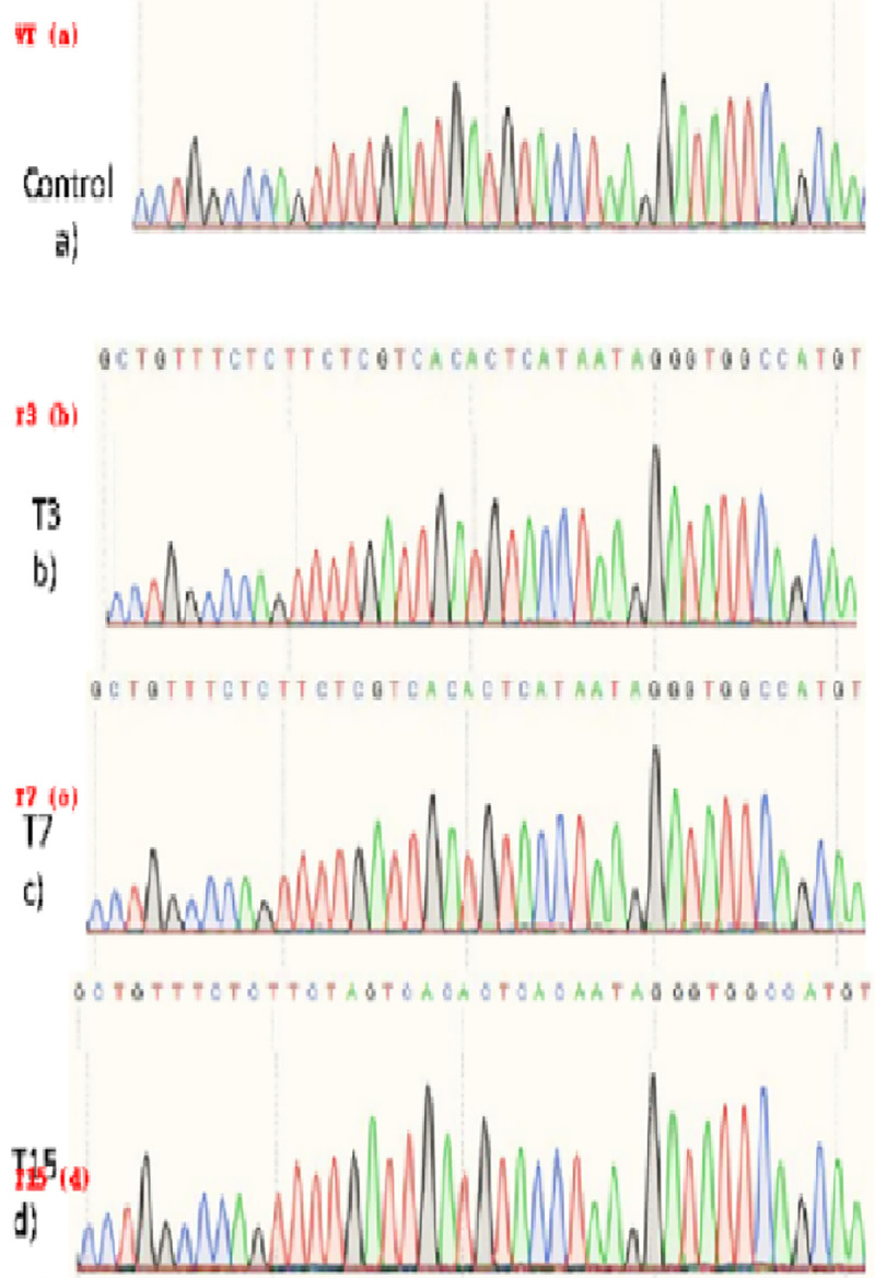 Fig 11