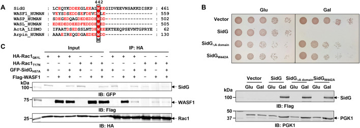 Fig 5