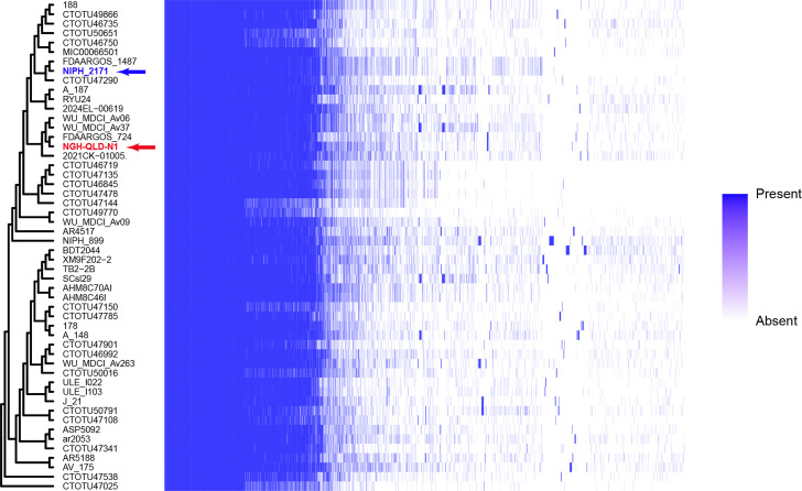 Fig. 2