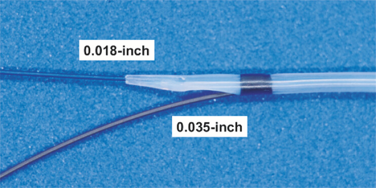 Fig. 1