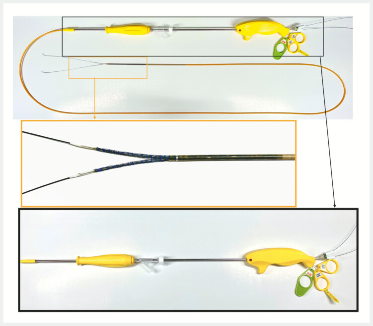 Fig. 2