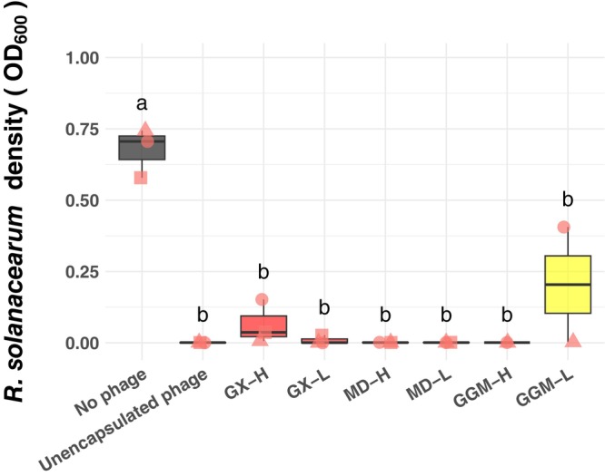FIGURE 3