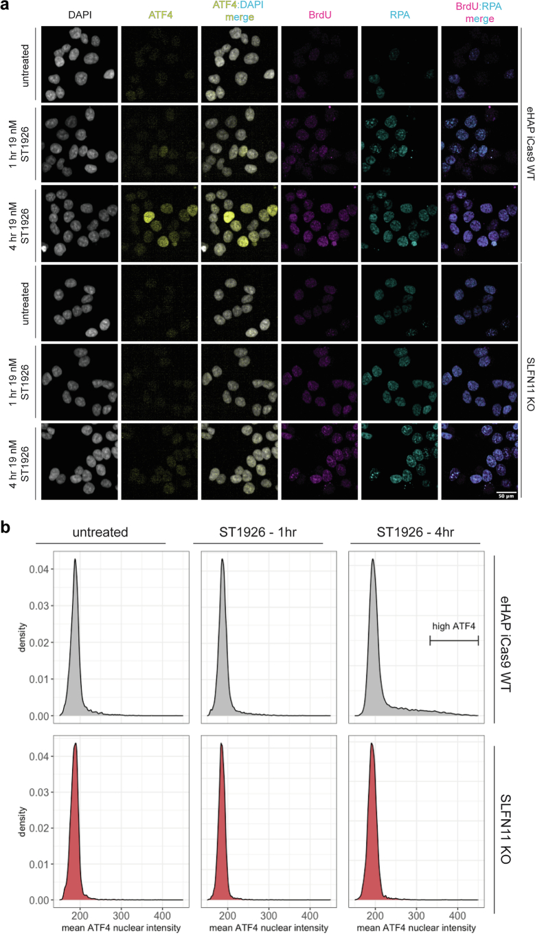 Figure 17