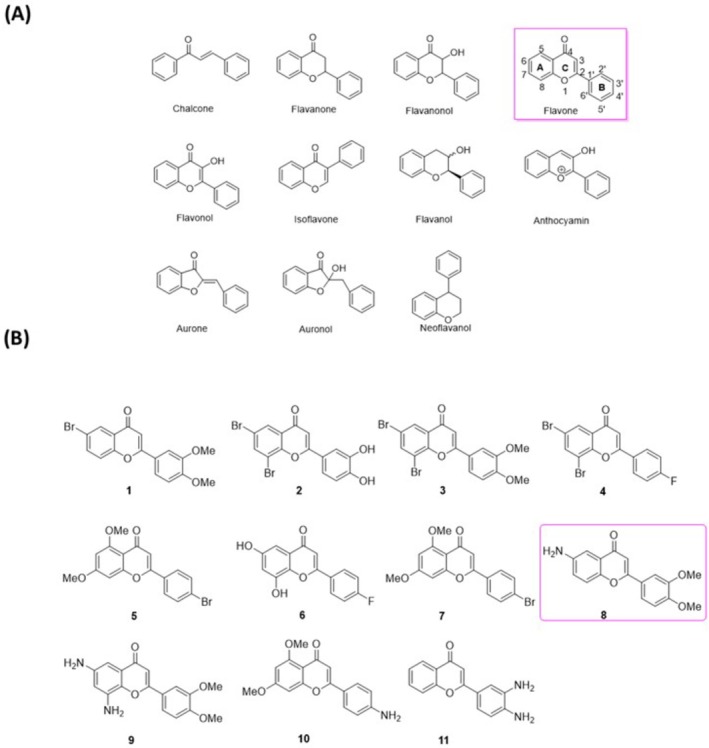 FIGURE 1