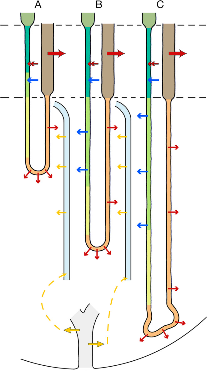 Figure 11