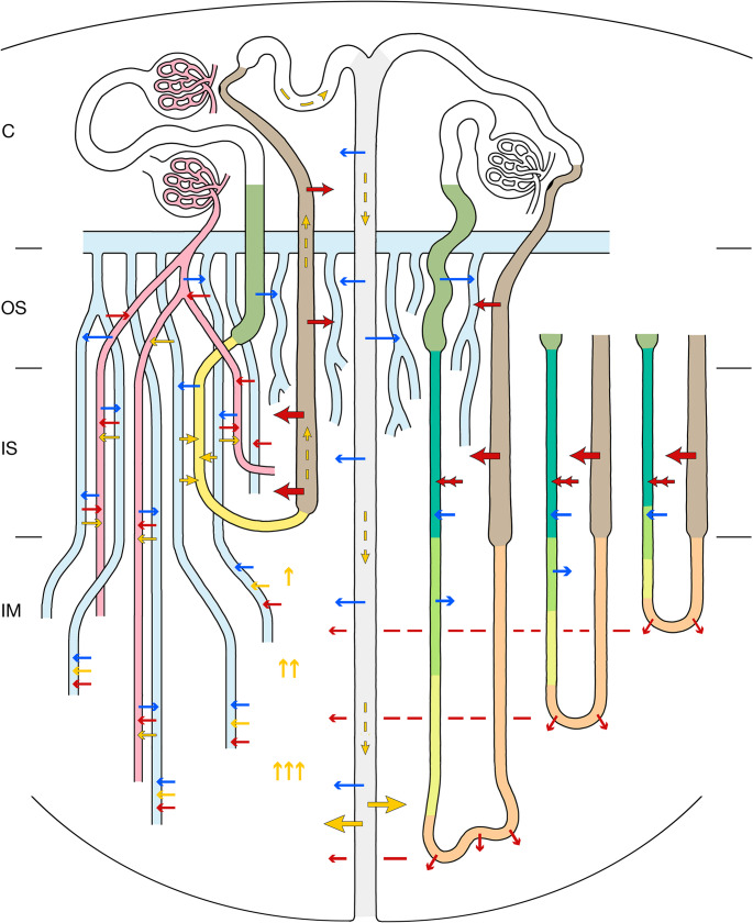 Figure 13