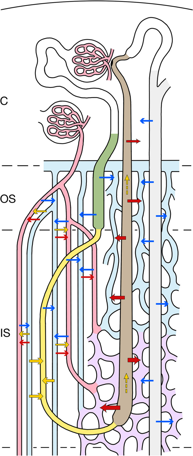 Figure 9