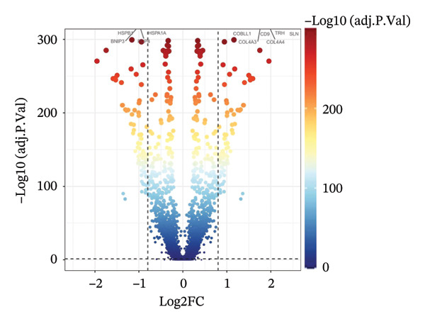 Figure 10