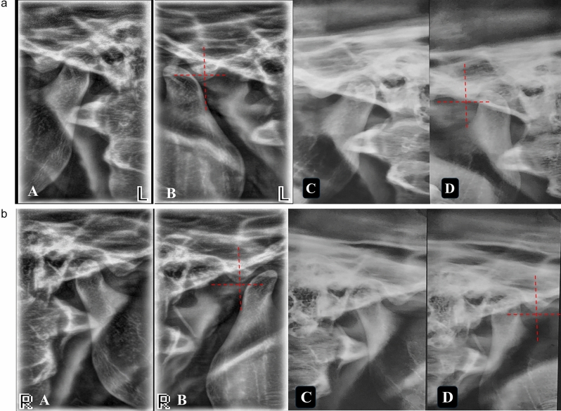 Figure 12