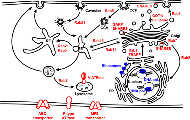 Figure 9