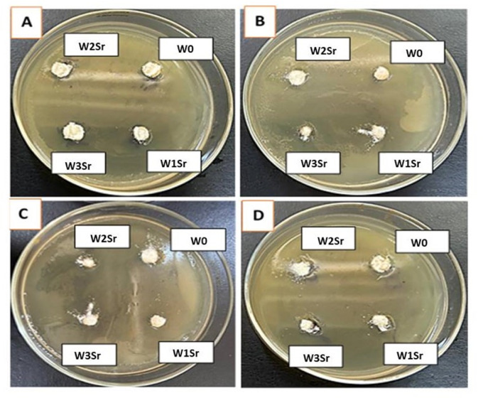 Figure 13