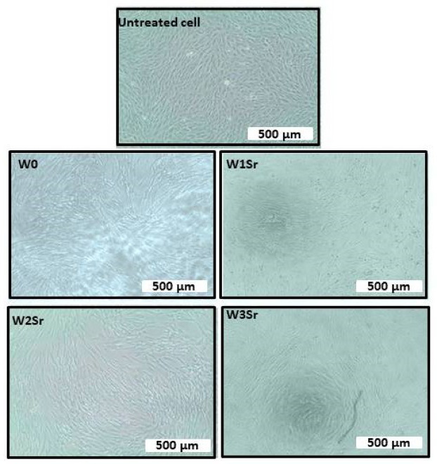 Figure 17
