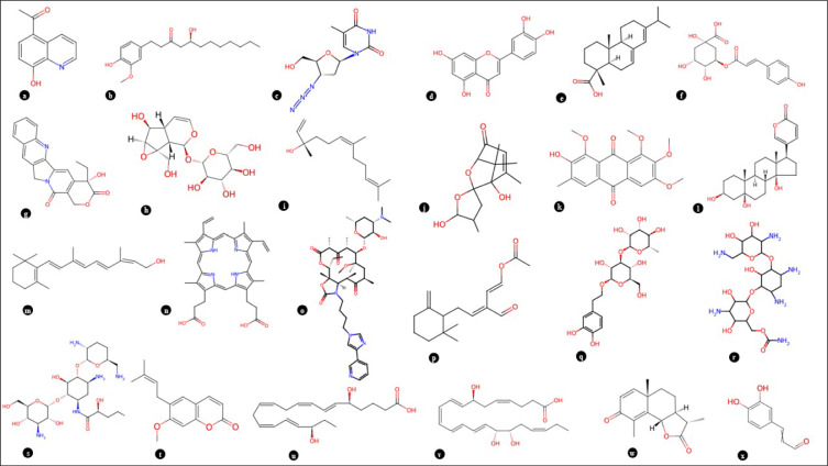 Figure 12