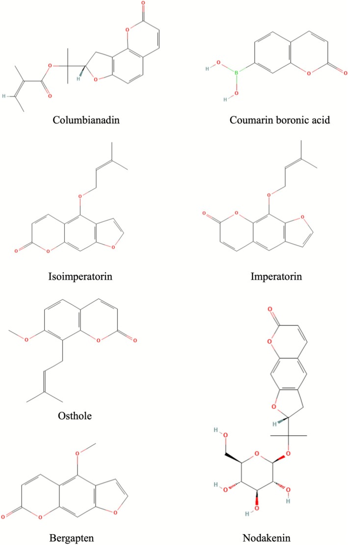 FIGURE 3