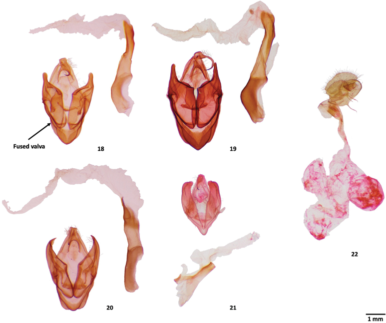 Figures 18–22