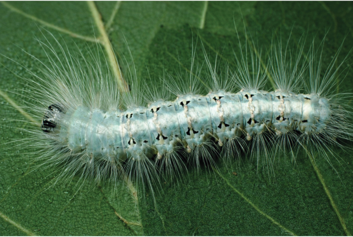 Figure 23
