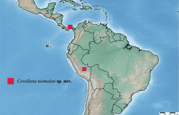 Figure 25