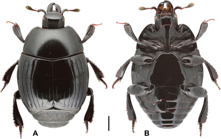 Figure 14