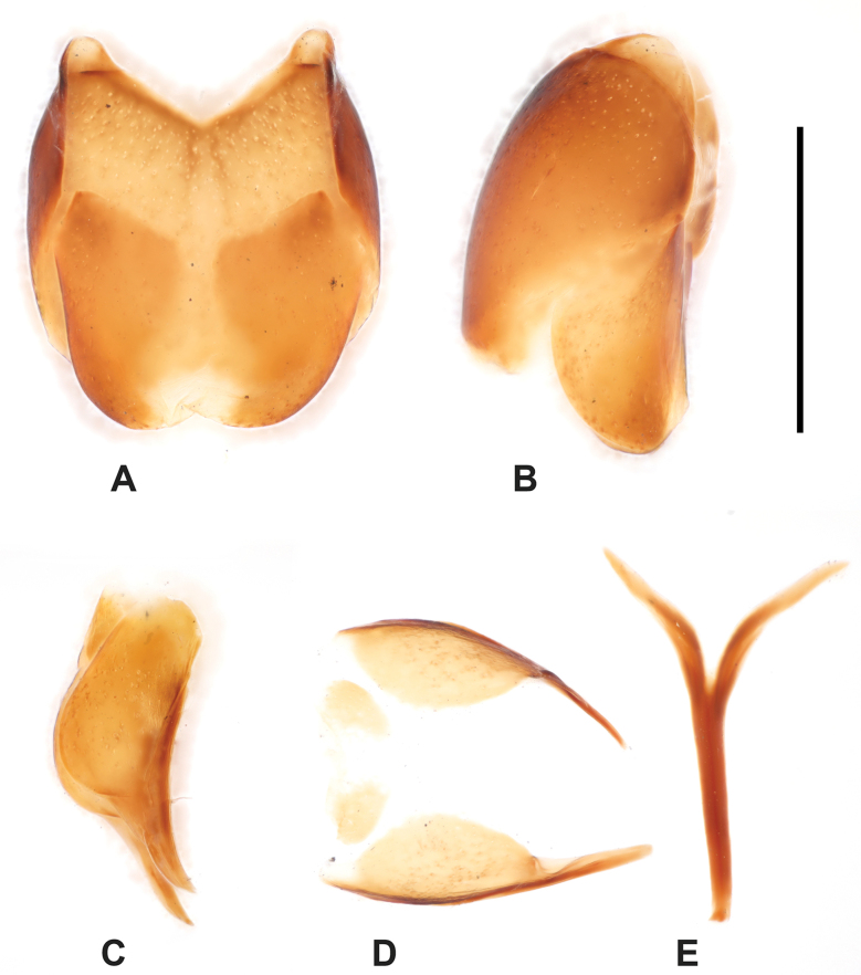 Figure 15