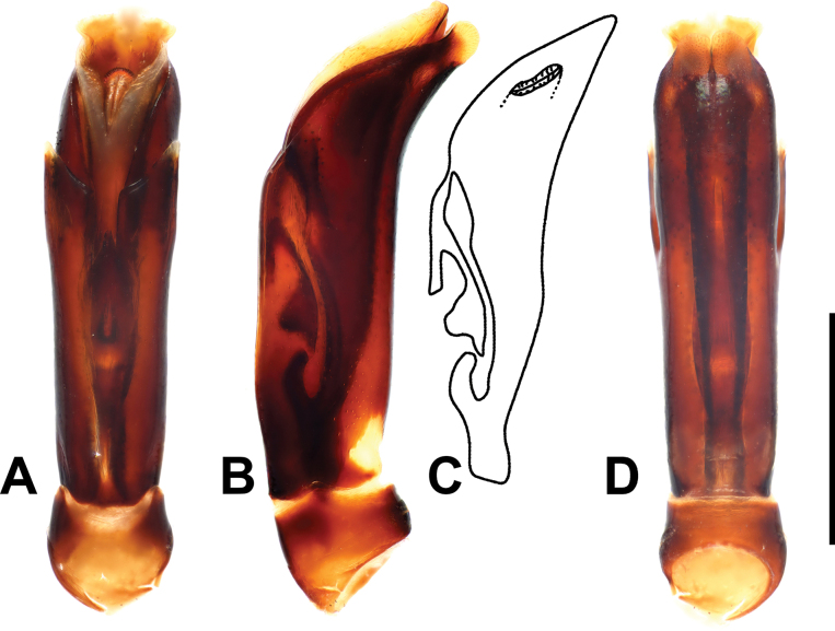 Figure 16