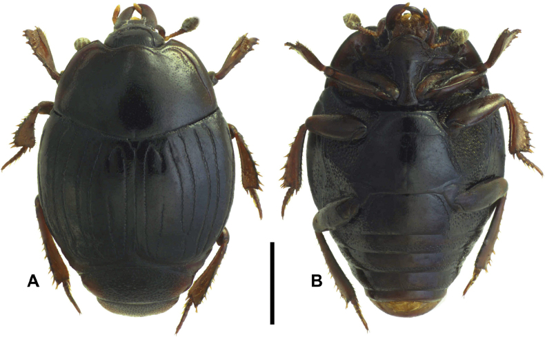 Figure 17
