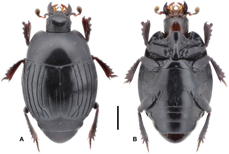 Figure 18