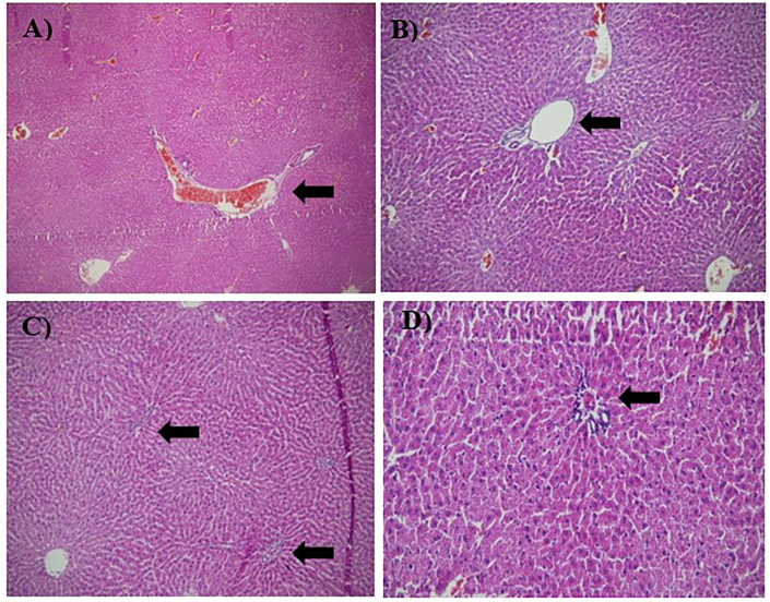 Figure 10