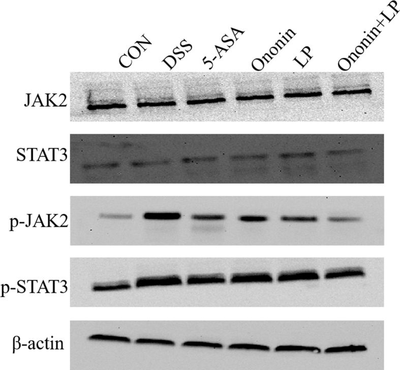 Figure 16