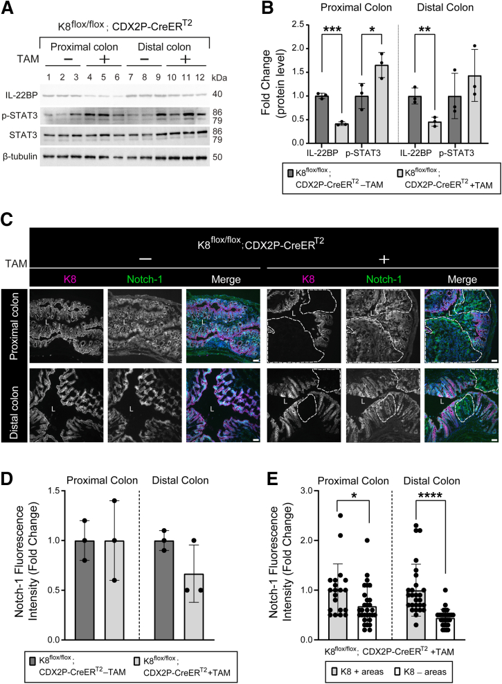 Figure 21
