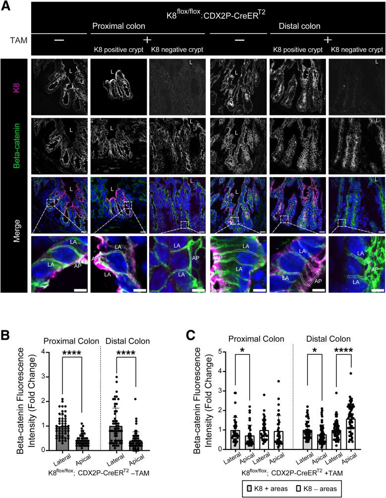 Figure 22