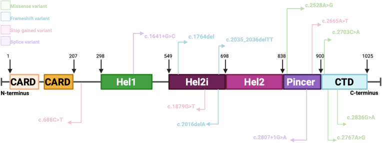 Figure 5