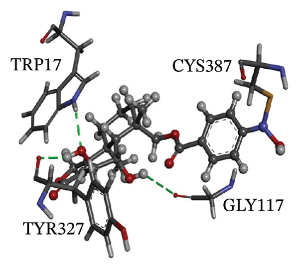 Figure 21
