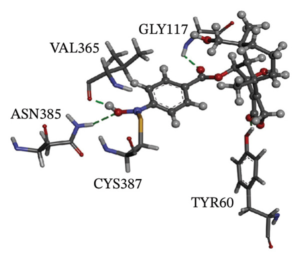 Figure 24