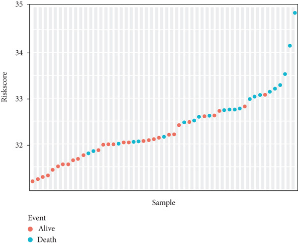 Figure 14