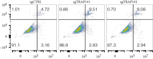 Figure 34