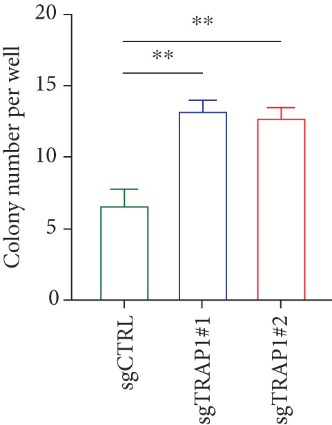 Figure 35