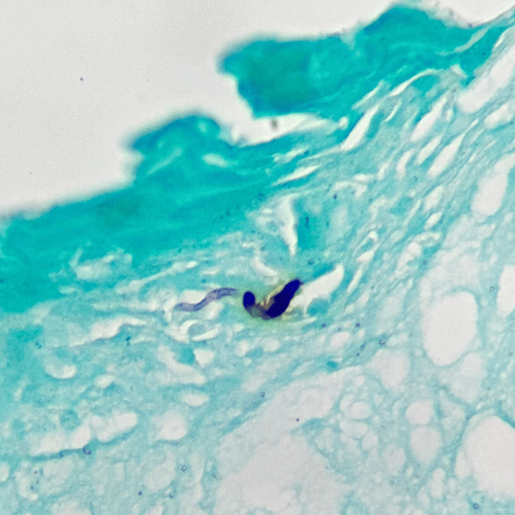 Figure 5