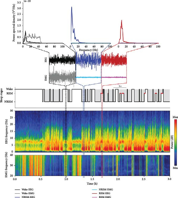 Figure 23