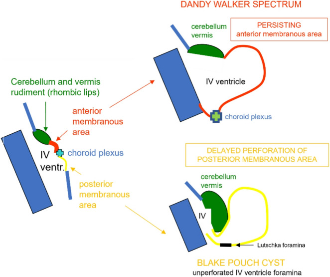 Figure 16