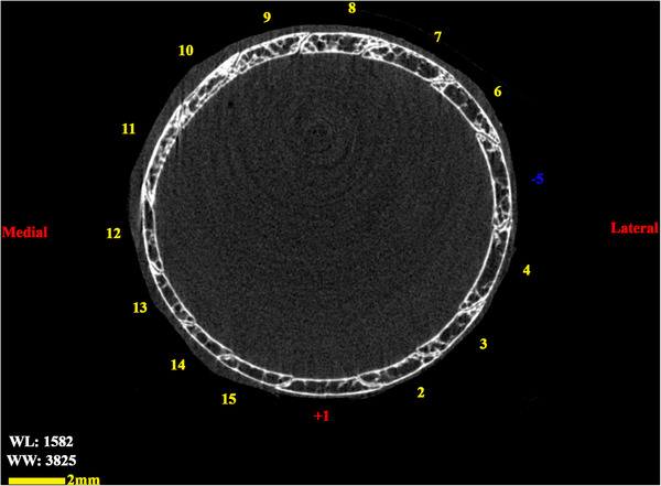 Figure 12
