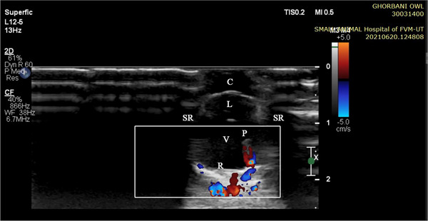Figure 13
