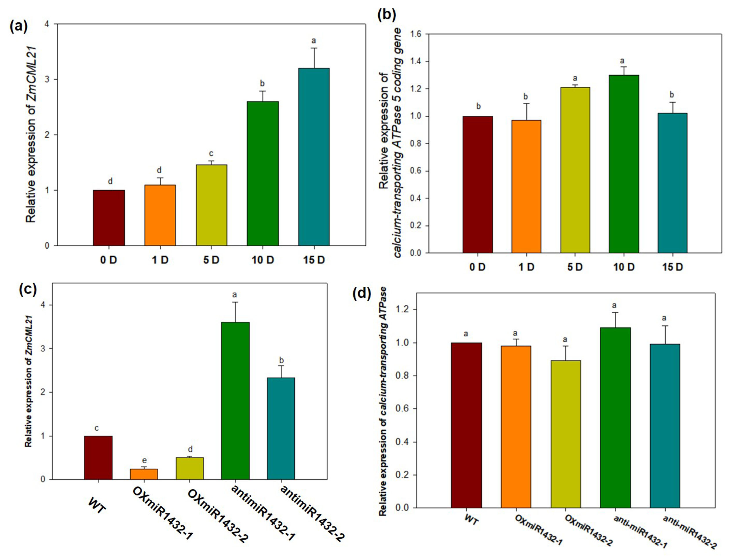 Figure 14