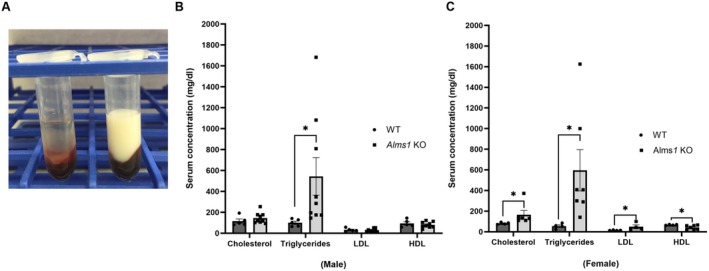 Figure 7