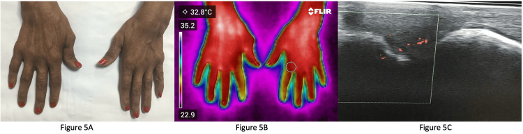 Figure 5