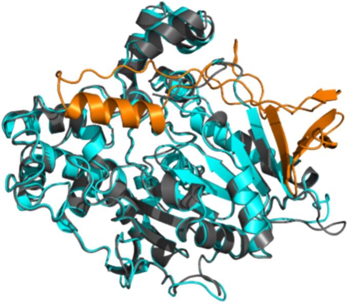 Figure 5