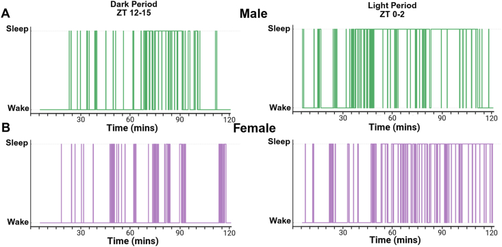 Figure 5