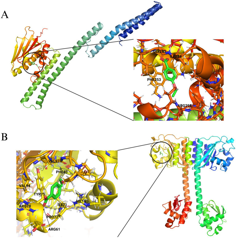 Figure 10